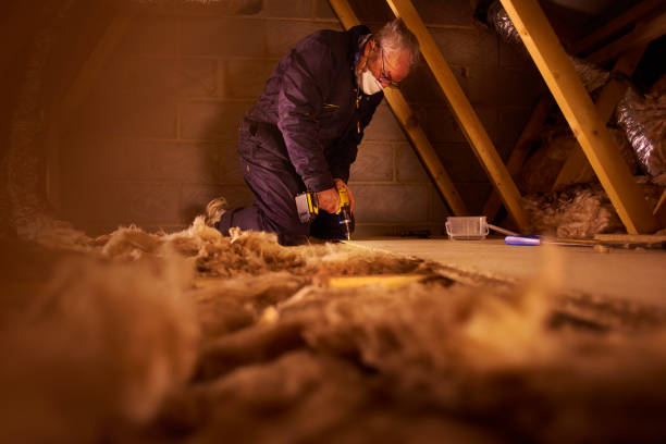Best Commercial Insulation in Campbell, OH